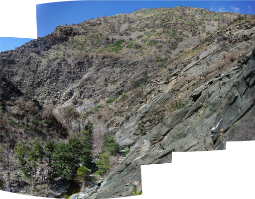image pano-plp-initial-look.jpg
