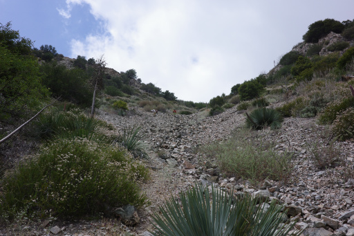 image R0013330.jpg