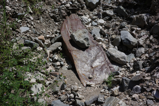 image R0013400.jpg