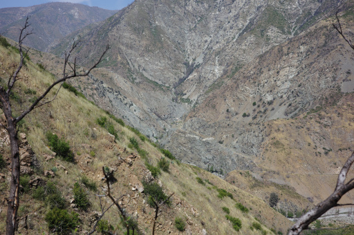 image R0013429.jpg
