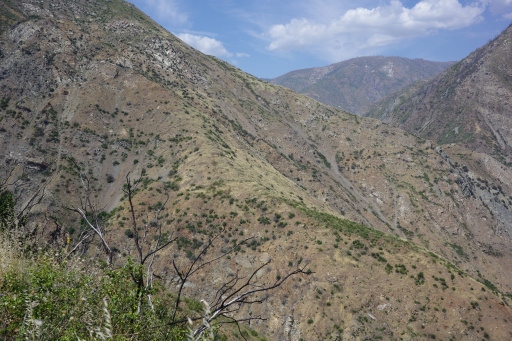 image R0013441.jpg