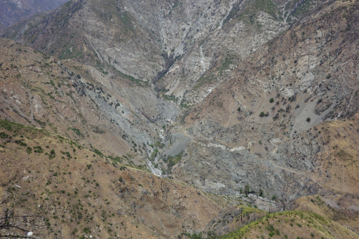 image R0013444.jpg