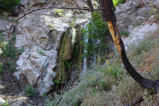 image R0013469.jpg