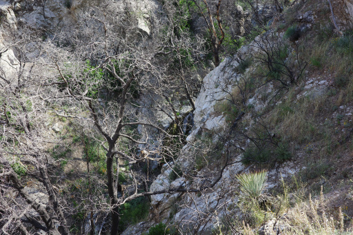image R0013474.jpg