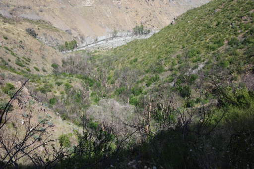 image R0013480.jpg
