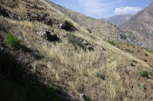 image R0013483.jpg