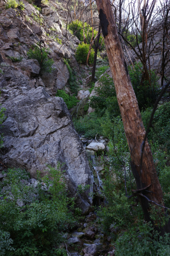 image R0013496.jpg