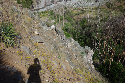 image R0013501.jpg