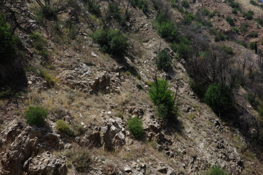 image R0013517.jpg
