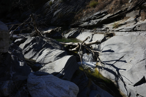 image R0014010.jpg