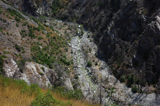 image R0014139.jpg