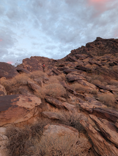 image PXL_20250921_132820966.jpg