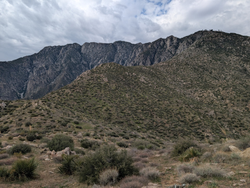 image PXL_20250921_170613153.jpg