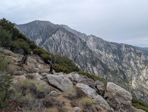 image PXL_20250921_191024879.jpg