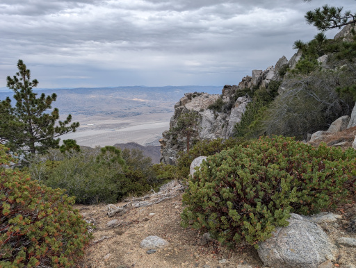 image PXL_20250921_195018593.jpg