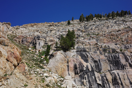image R0001773.jpg