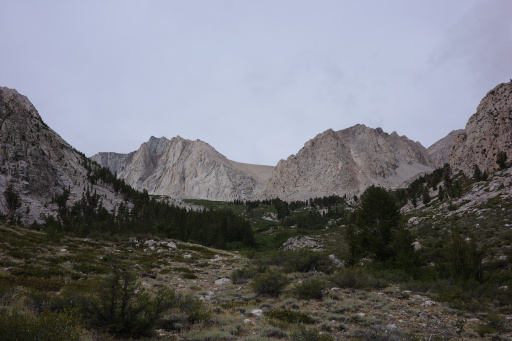 image R0014276.jpg