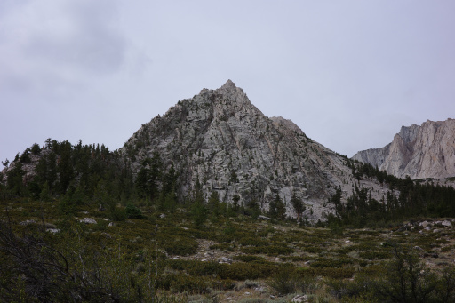 image R0014288.jpg