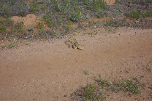 image R0010014.jpg