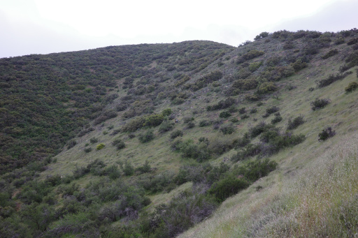 image R0010025.jpg