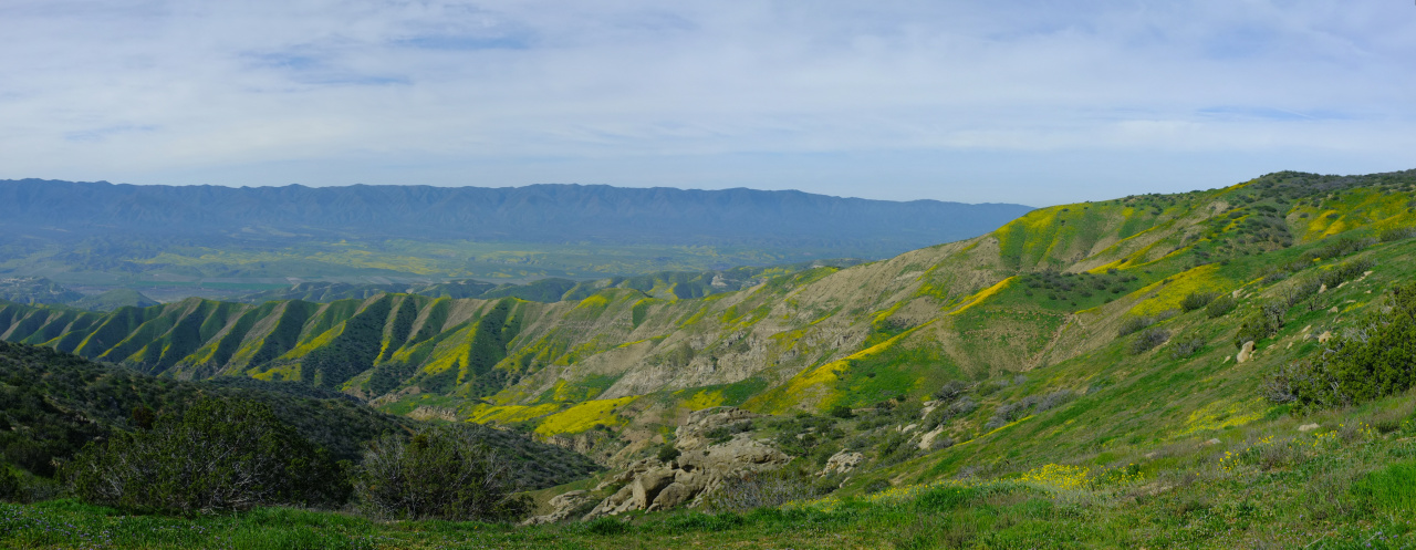-
Projection: Equirectangular (2)
FOV: 82 x 43
Ev: 11.56