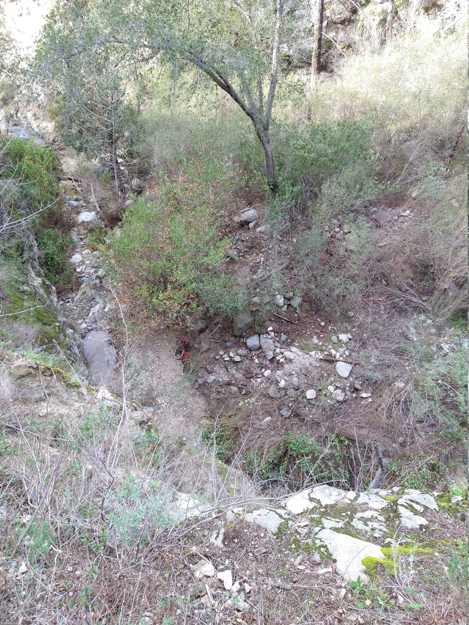 IMG 20220110 150953087