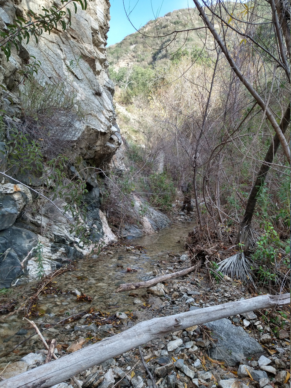 IMG 20220110 151405018 HDR