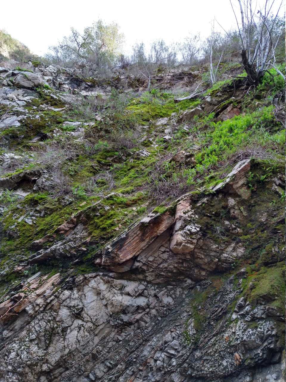 IMG 20220110 152019914 HDR