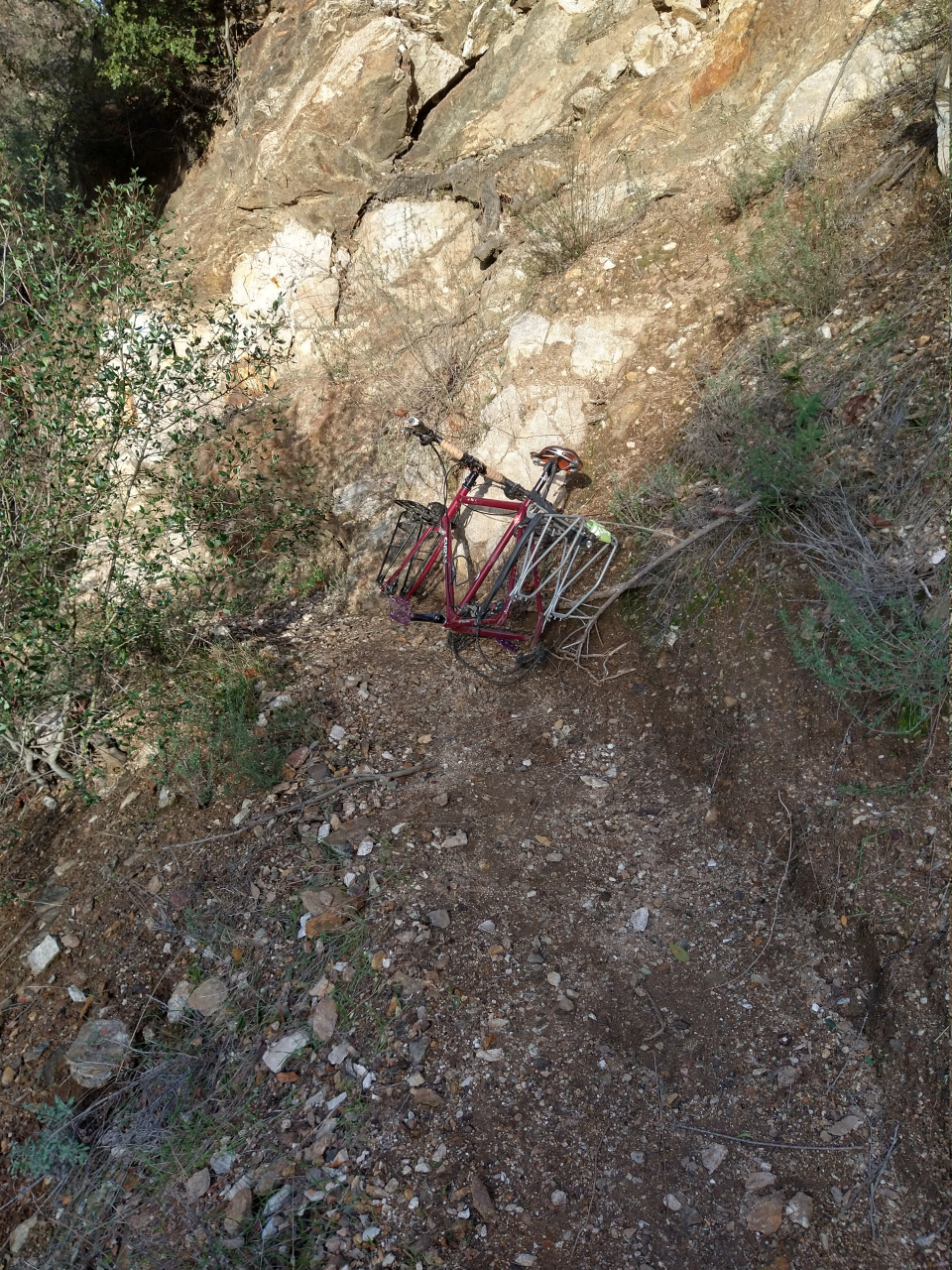 IMG 20220110 154536119 HDR