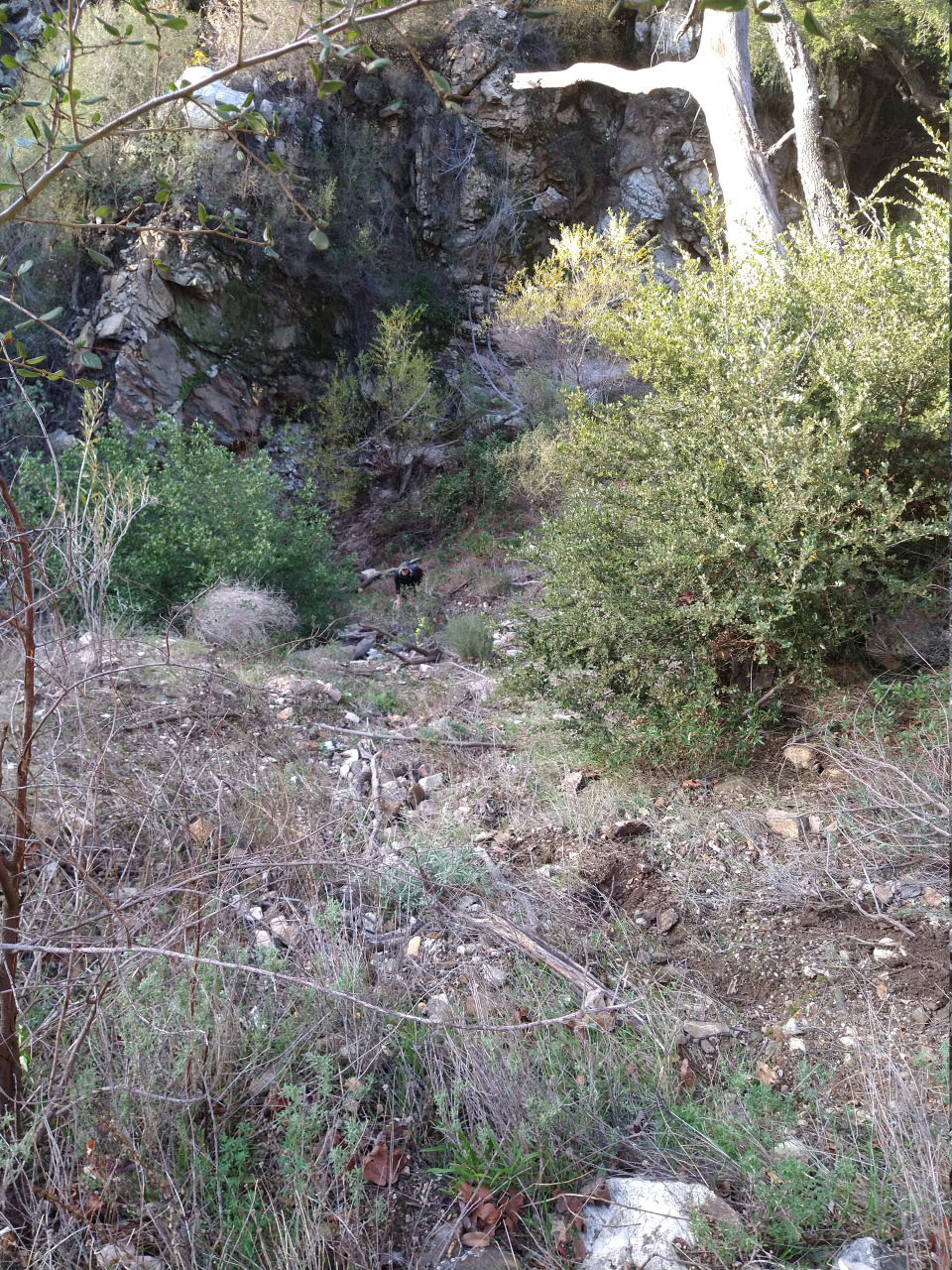 IMG 20220110 154540567