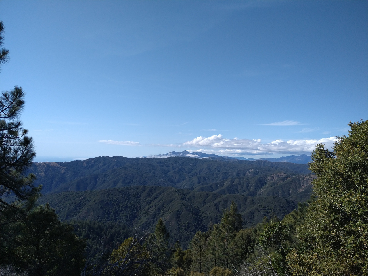 IMG 20220415 161720071