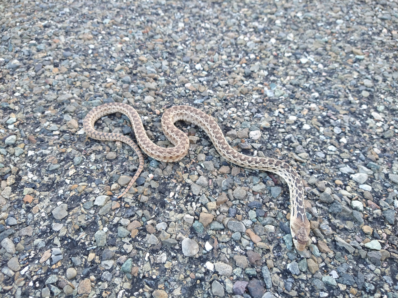 IMG 20220417 173630587