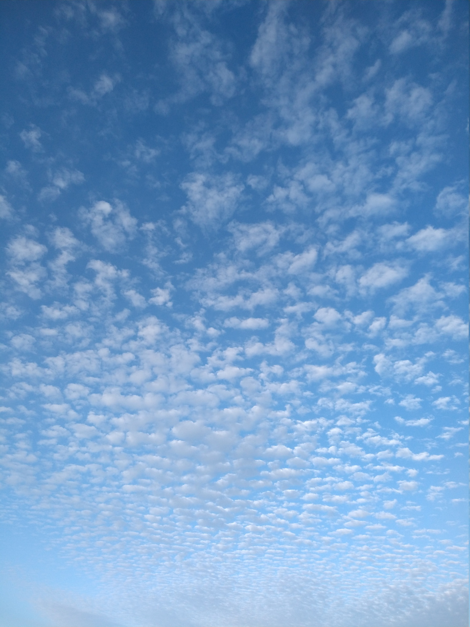 IMG 20220419 070353747