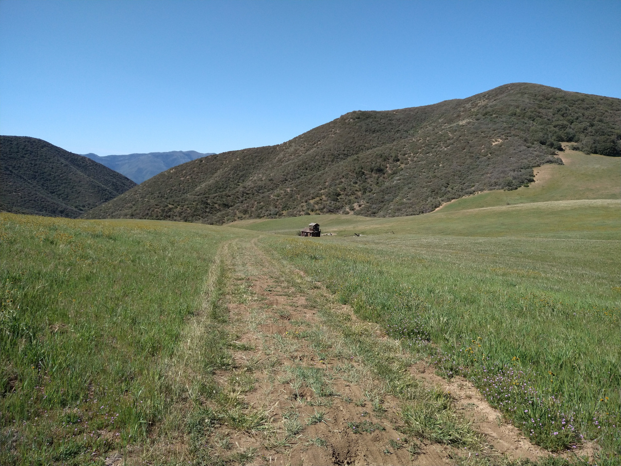 IMG 20220419 102655945