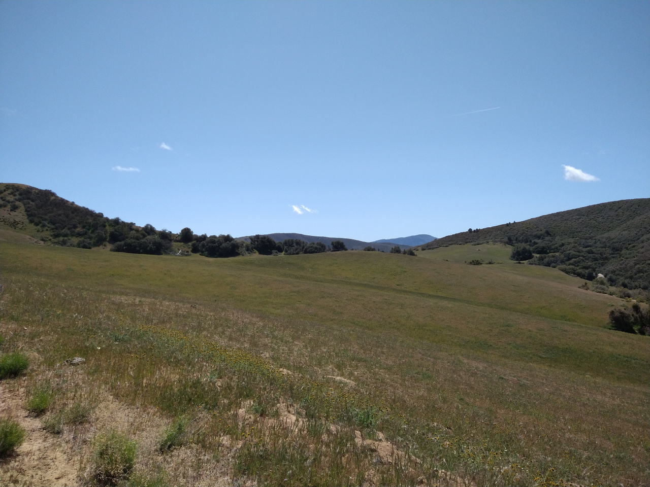 IMG 20220419 113954903