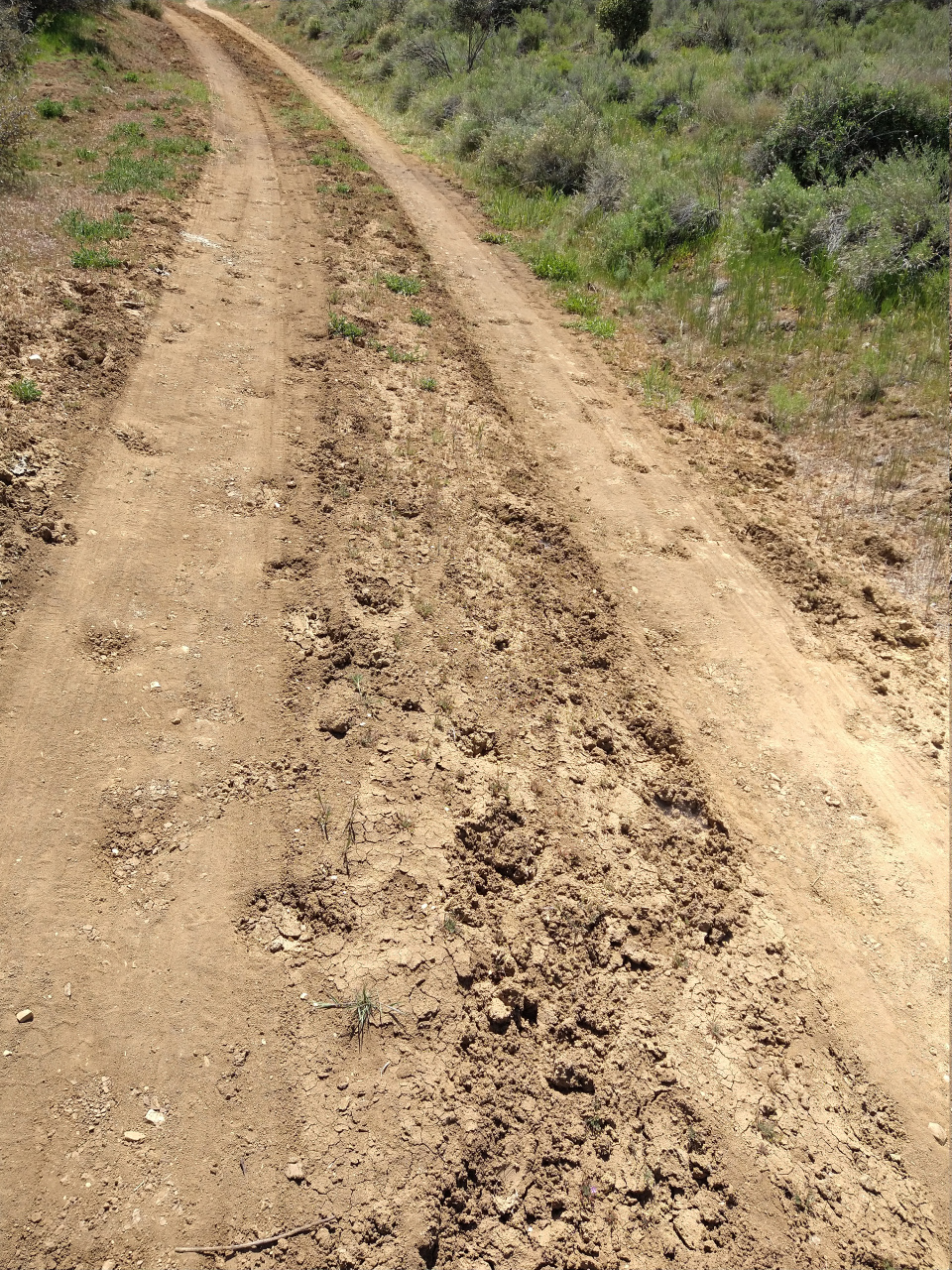 IMG 20220419 120555234